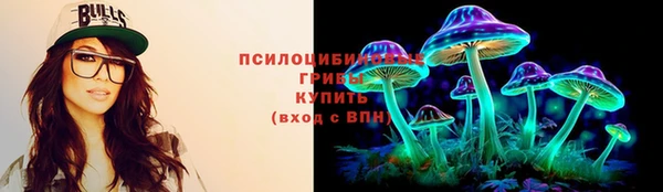 PSILOCYBIN Абдулино