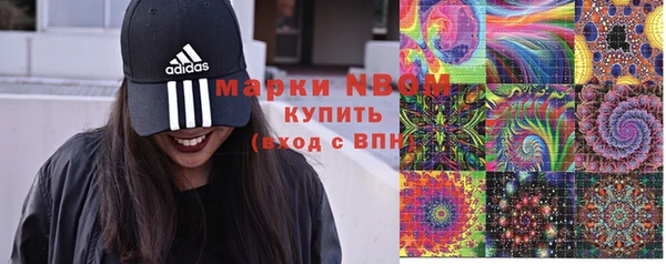 PSILOCYBIN Абдулино