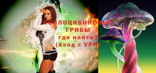 прущие грибы Алексин