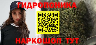 PSILOCYBIN Моздок