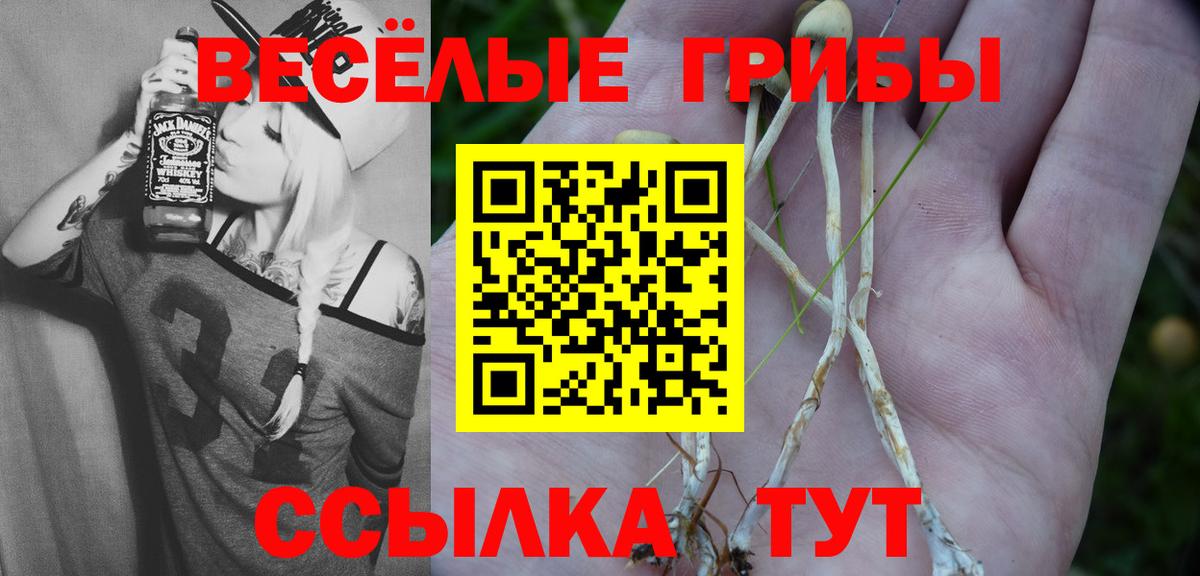 Чита  Галлюциногенные грибы мицелий  Вход с VPN 