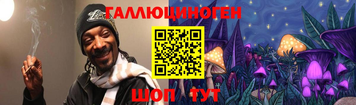 Псилоцибиновые грибы мицелий Чита